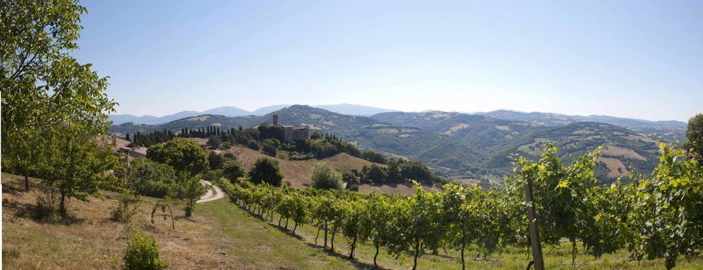 Agriturismo Tenuta Di Biscina ภายนอก รูปภาพ