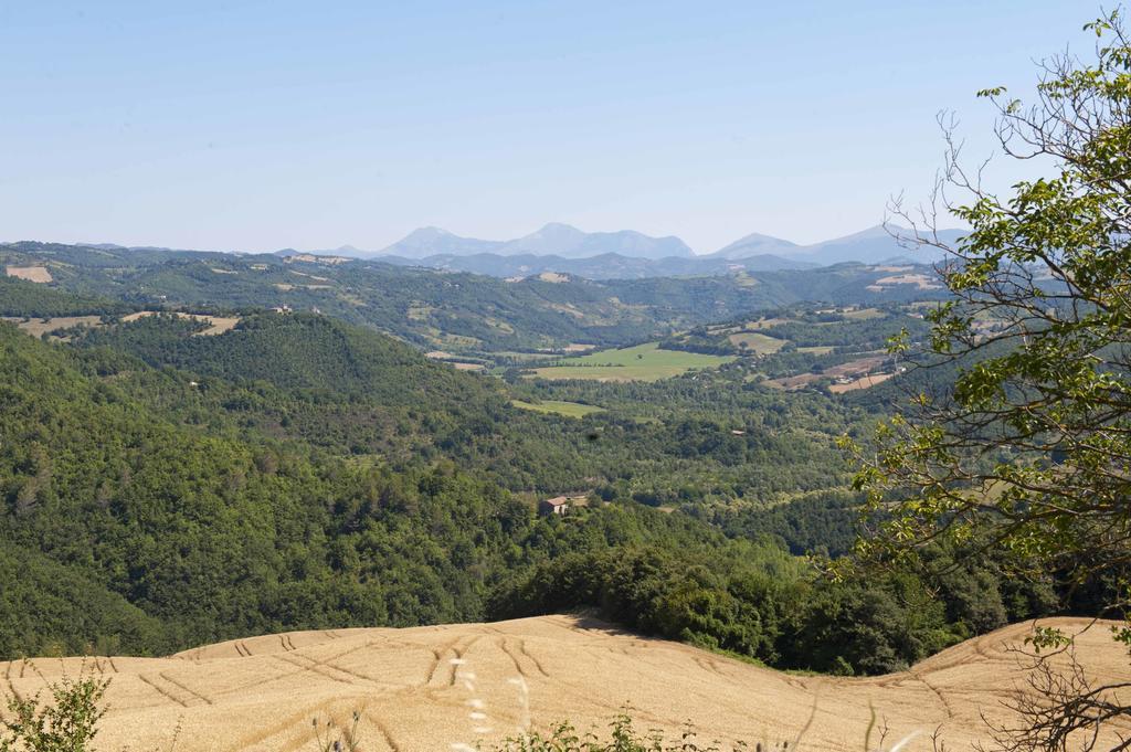 Agriturismo Tenuta Di Biscina ภายนอก รูปภาพ