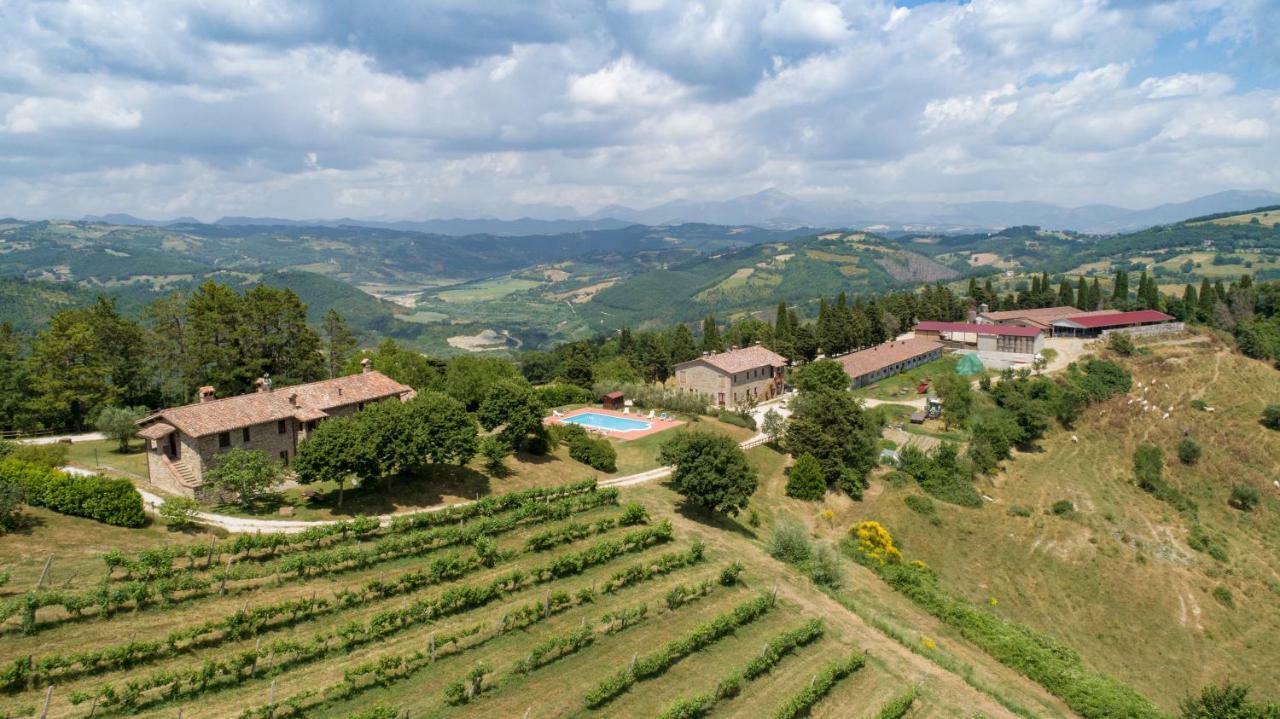 Agriturismo Tenuta Di Biscina ภายนอก รูปภาพ