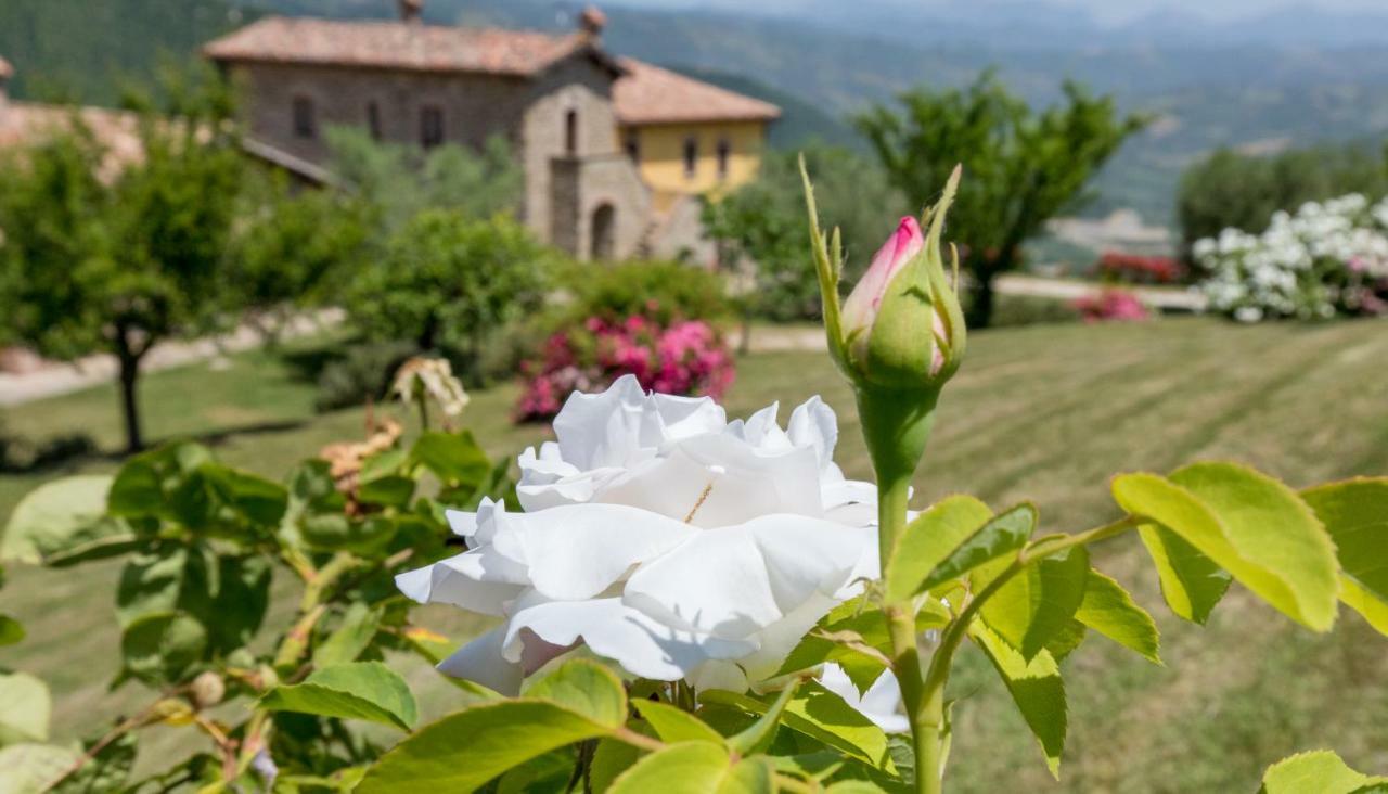 Agriturismo Tenuta Di Biscina ภายนอก รูปภาพ